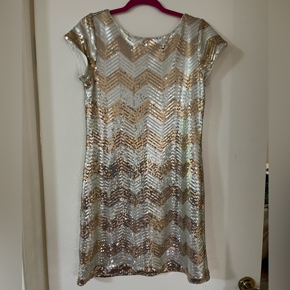 Gold and Silver Sequin Chevron Dress - BRAND NEW!